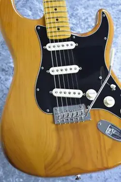 FENDER AMERICAN PROFESSIONAL 2STRATOCASTER MN ROASTED PINE