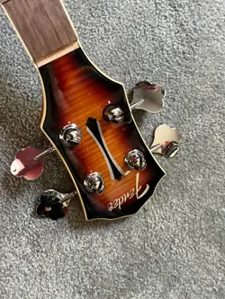 ACOUSTIC ELECTRIC BASS