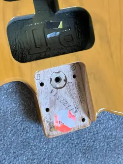 FENDER AMERICAN PROFESSIONAL II TELECASTER BODY BUTTERSCOTCH BLONDE 4 LB 9 OZ