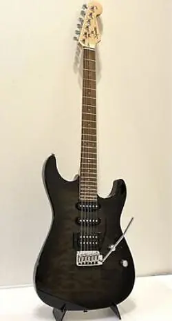 TRANSPARENT BLACK ELECTRIC