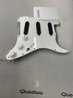 LOADED PICKGUARD 11