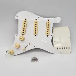 LOADED PICKGUARD 24094