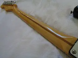 RSW FRETBOARD ELECTRIC