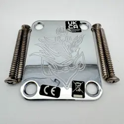 FENDER JASON ISBELL TELECASTER NECK PLATE 24095