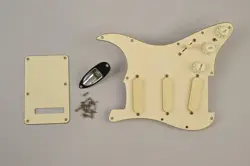 PLUS PICKGUARD GOLD