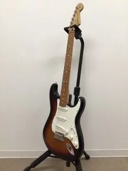 FENDER PLAYER STRATOCASTER PAU FERRO  /