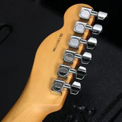 FENDER AMERICAN PROFESSIONAL II TELECASTER MAPLE FINGERBOARD ROASTED PINE