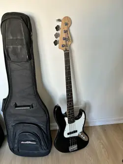 FENDER STANDART SERIES