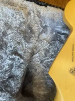 3-TONE SUNBURST W/SETUP