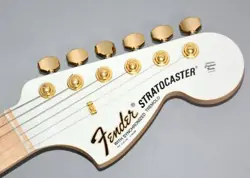 INCLUDED! FENDER FENDER