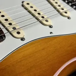 FENDER AMERICAN PERFORMER STRATOCASTER RW HBST