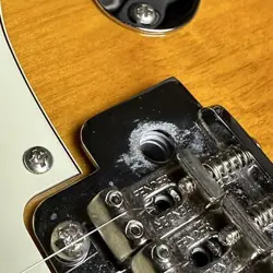 STRATOCASTER RW HBST