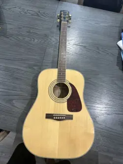 ACOUSTIC DG-100
