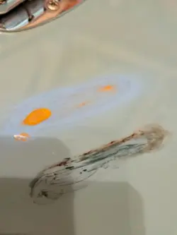 1965 FENDER MUSTANG GUITAR