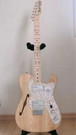 THINLINE TELECASTER S/N