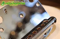 MUSTANG SUNBURST 1975