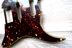 SSH HUMBUCKER TORTOISE