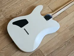 FENDER JIM ROOT TELECASTER