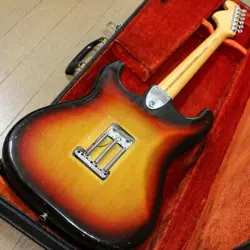 SUNBURST COLOR ALDER