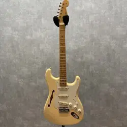 JOHNSON THINLINE SAFE