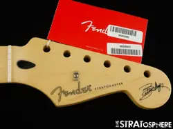 GUY STRATOCASTER STRAT