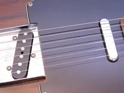 TL69-150 ALL ROSEWOOD