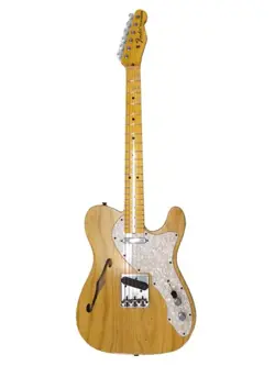 ? FENDER CUSTOM SHOP 1969 TELECASTER THINLINE JOURNEYMAN RELIC 2021 - MINT  ?