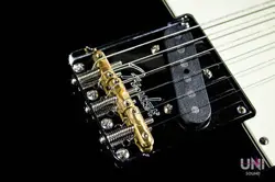 TELECASTER 2021 SAFE