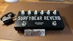 JIGGLYPUFF REVERB FENDER