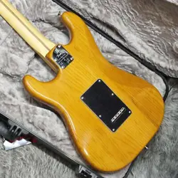 PROFESSIONAL 2STRATOCASTER RW