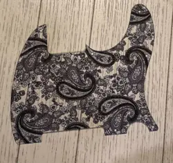 FENDER BRAD PAISLEY TELECASTER PICKGUARD CLEAR GUITAR PARTS PROJECT ROADWORN