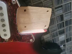 SERIES STRATOCASTER LOADED