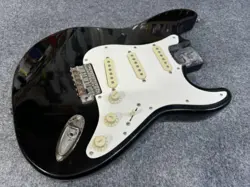 PICKGUARD/PICKUPS/BRIDGE