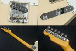 FENDER JAPANTL71-ASH US