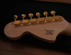 ANNIVERSARY LIMITED MODEL