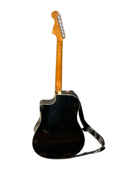 GUITAR STRING ROSEWOOD