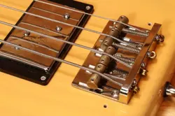 BUTTERSCOTCH BLONDE TELE