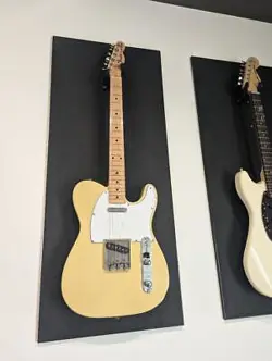 FENDER TELECASTER CUSTOM SHOP TEXAS SPEC / ELECTRIC GUITAR W/ SC