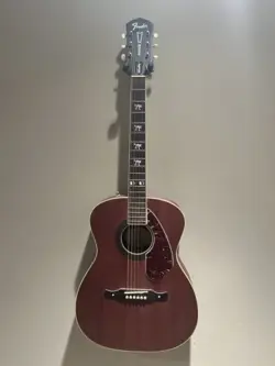 HELLCAT STRING ACOUSTIC/ELECTRIC