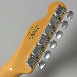 FENDER CUSTOM SHOP LIMITED EDITION '69 TELECASTER THINLINE RELIC SAFE DELIVERY F