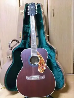 FENDER TIM ARMSTRONG HELLCAT-12 STRING ACOUSTIC GUITAR