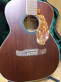 HELLCAT-12 STRING ACOUSTIC