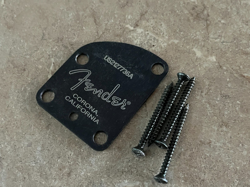 ACOUSTASONIC TELECASTER JAZZMASTER