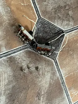 SET 1970S FENDER MUSTANG DUO SONIC GUITAR PICKUP SWITCHES