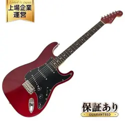 STRING INSTRUMENT PERFORMANCE