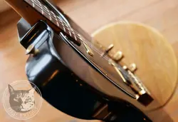 FENDER COLLECTORS EDITION BLACK AND GOLD TELECASTER