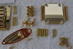 GOLD STRATOCASTER BODY