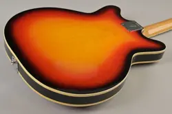 SUNBURST 12-STRING