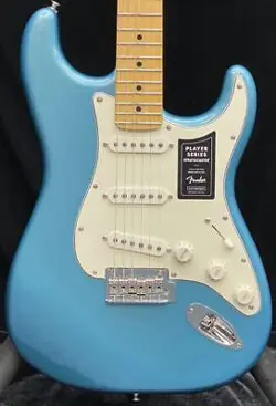 -TIDEPOOL MAPLE- MX22070054