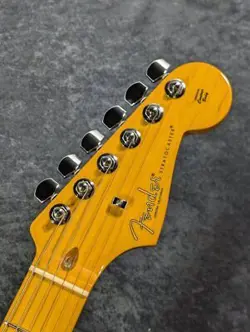 PROFESSIONAL 2STRATOCASTER ROASTED